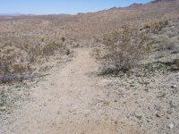 Stoddard Valley B'day '08 017.jpg