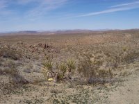 Stoddard Valley B'day '08 018.jpg