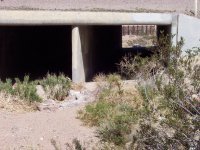 Stoddard Valley B'day '08 020.jpg