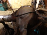 DSC00432.JPG DSC00432.JPG