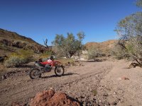 DSCN5695.JPG DSCN5695.JPG