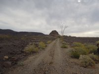 DSCN5722.JPG DSCN5722.JPG