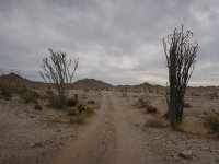 DSCN5723.JPG DSCN5723.JPG