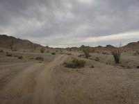 DSCN5726.JPG DSCN5726.JPG