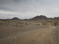 DSCN5727.JPG DSCN5727.JPG