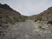 DSCN5730.JPG DSCN5730.JPG