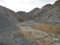 DSCN5736.JPG DSCN5736.JPG