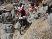 DSCF0536.JPG DSCF0536.JPG