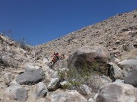 DSCF0529.JPG DSCF0529.JPG