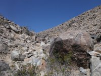 DSCF0531.JPG DSCF0531.JPG