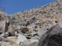 DSCF0532.JPG DSCF0532.JPG