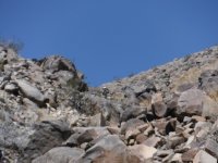 DSCF0534.JPG DSCF0534.JPG