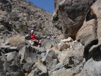 DSCF0535.JPG DSCF0535.JPG