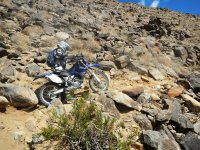 DSCN0498.JPG DSCN0498.JPG