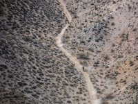 DSCF0608.JPG DSCF0608.JPG