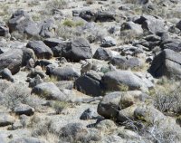 DSCN0566.JPG DSCN0566.JPG