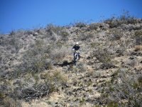 DSCF0622.JPG DSCF0622.JPG