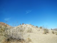 DSCN0571.JPG DSCN0571.JPG