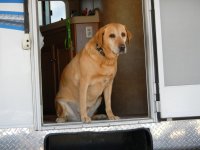 DSCN0586.JPG DSCN0586.JPG