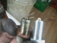 neutral safety switch.jpg