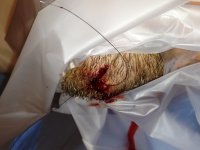 IMG_1470.jpg IMG_1470.jpg