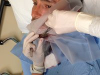 IMG_1471.jpg IMG_1471.jpg