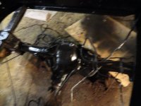 DSC00478.JPG DSC00478.JPG