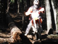 DSCF0771.JPG DSCF0771.JPG