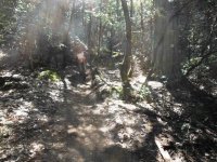 DSCF0773.JPG DSCF0773.JPG