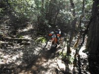 DSCF0774.JPG DSCF0774.JPG