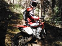 DSCF0775.JPG DSCF0775.JPG