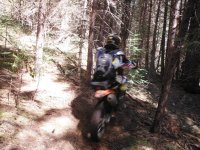 DSCF0776.JPG DSCF0776.JPG