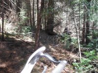 DSCF0779.JPG DSCF0779.JPG