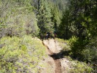 DSCN0604.JPG DSCN0604.JPG