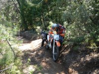 DSCN0607.JPG DSCN0607.JPG