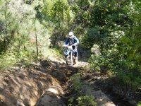 DSCN0610.JPG DSCN0610.JPG