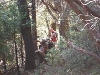 DSCF0782.JPG DSCF0782.JPG