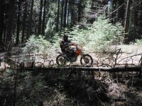 DSCF0793.JPG DSCF0793.JPG