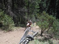 DSCF0786.JPG DSCF0786.JPG