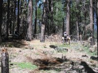 DSCF0790.JPG DSCF0790.JPG