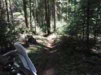 DSCF0791.JPG DSCF0791.JPG