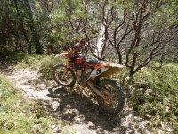 DSCN0616.JPG DSCN0616.JPG