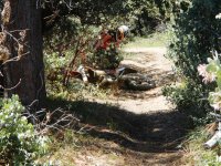 DSCN0617.JPG DSCN0617.JPG