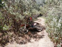 DSCN0618.JPG DSCN0618.JPG