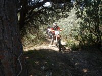 DSCN0619.JPG DSCN0619.JPG