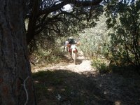 DSCN0620.JPG DSCN0620.JPG