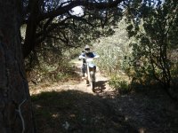 DSCN0621.JPG DSCN0621.JPG