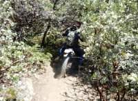 DSCN0622.JPG DSCN0622.JPG