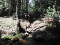 DSCF0794.JPG DSCF0794.JPG