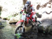 DSCF0795.JPG DSCF0795.JPG